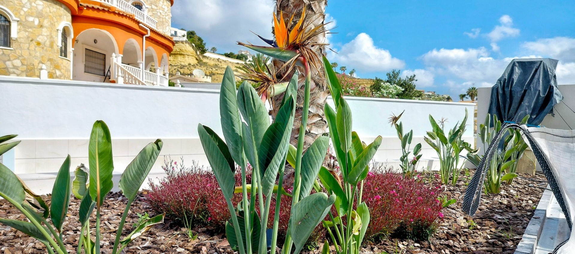 New Build - Villa / Semi semi-detached - Rojales - Ciudad Quesada