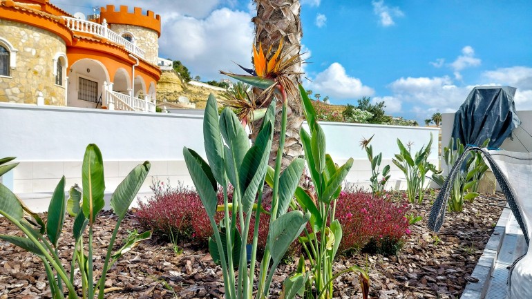 New Build - Villa / Semi semi-detached - Rojales - Ciudad Quesada