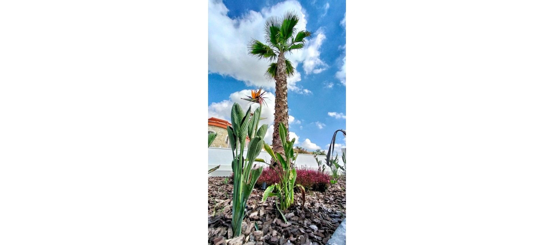 New Build - Villa / Semi semi-detached - Rojales - Ciudad Quesada