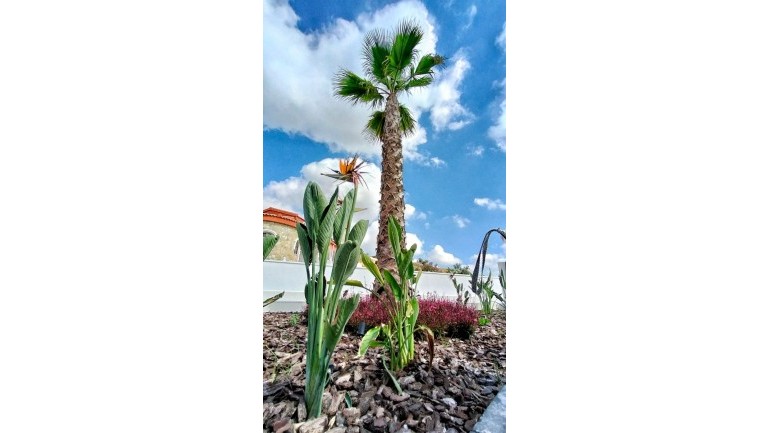 New Build - Villa / Semi semi-detached - Rojales - Ciudad Quesada