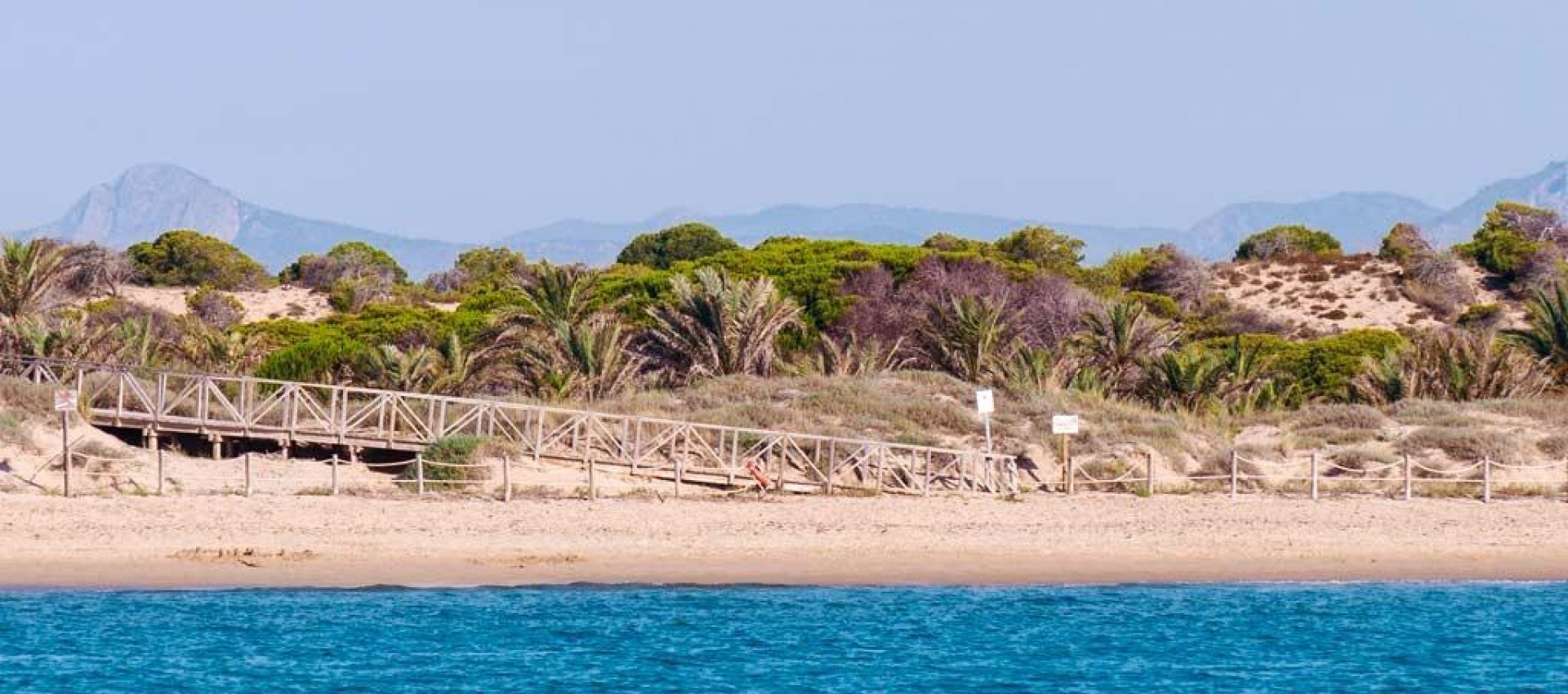 Nueva construcción  - Apartamento / piso - Guardamar del Segura - Pueblo