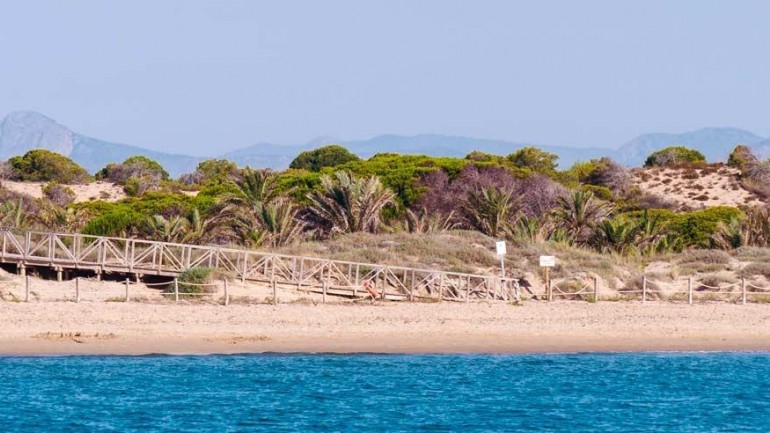 Nueva construcción  - Apartamento / piso - Guardamar del Segura - Pueblo