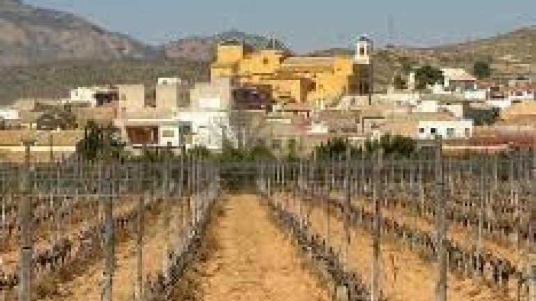 Nouvelle construction - Bungalow - Hondón de las Nieves - El Salero