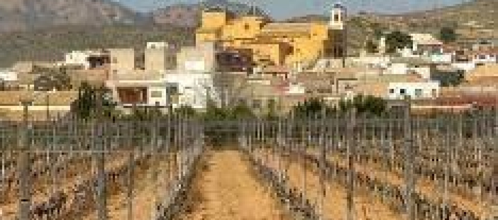 Nueva construcción  - Bungalow - Hondón de las Nieves - El Salero