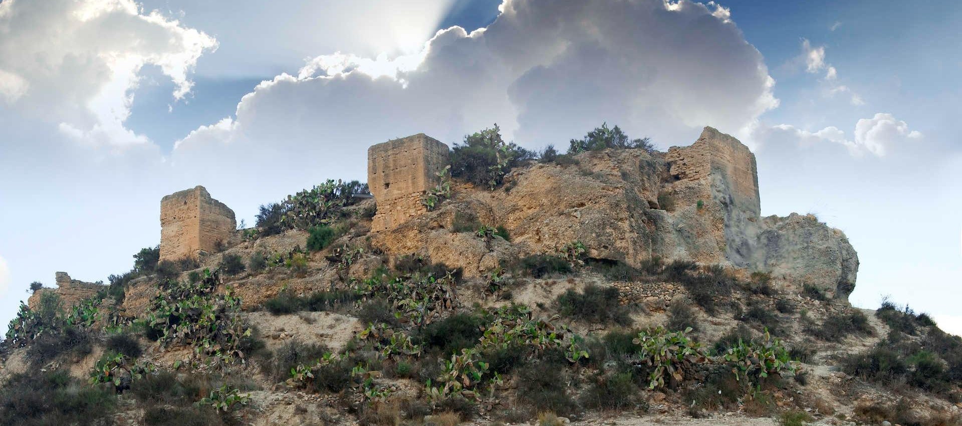 Nouvelle construction - Villa - Aspe - Centro