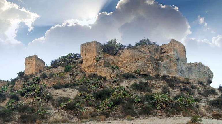 Nouvelle construction - Villa - Aspe - Centro