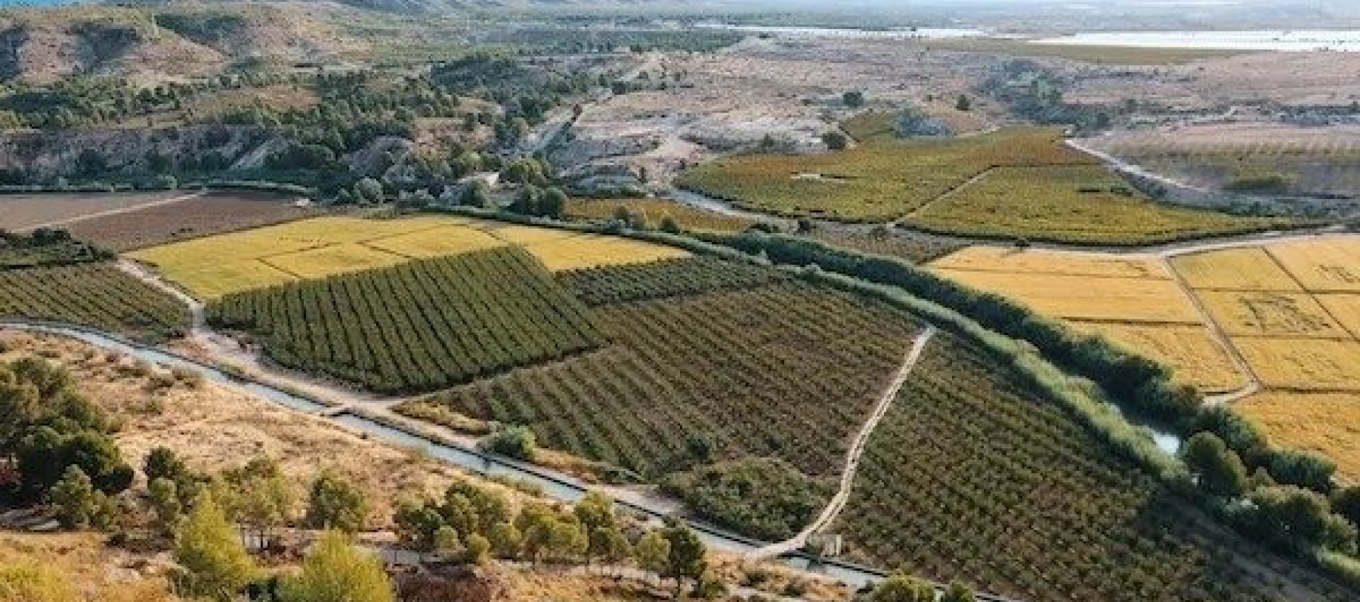 Nouvelle construction - Villa - Calasparra - Coto Riñales