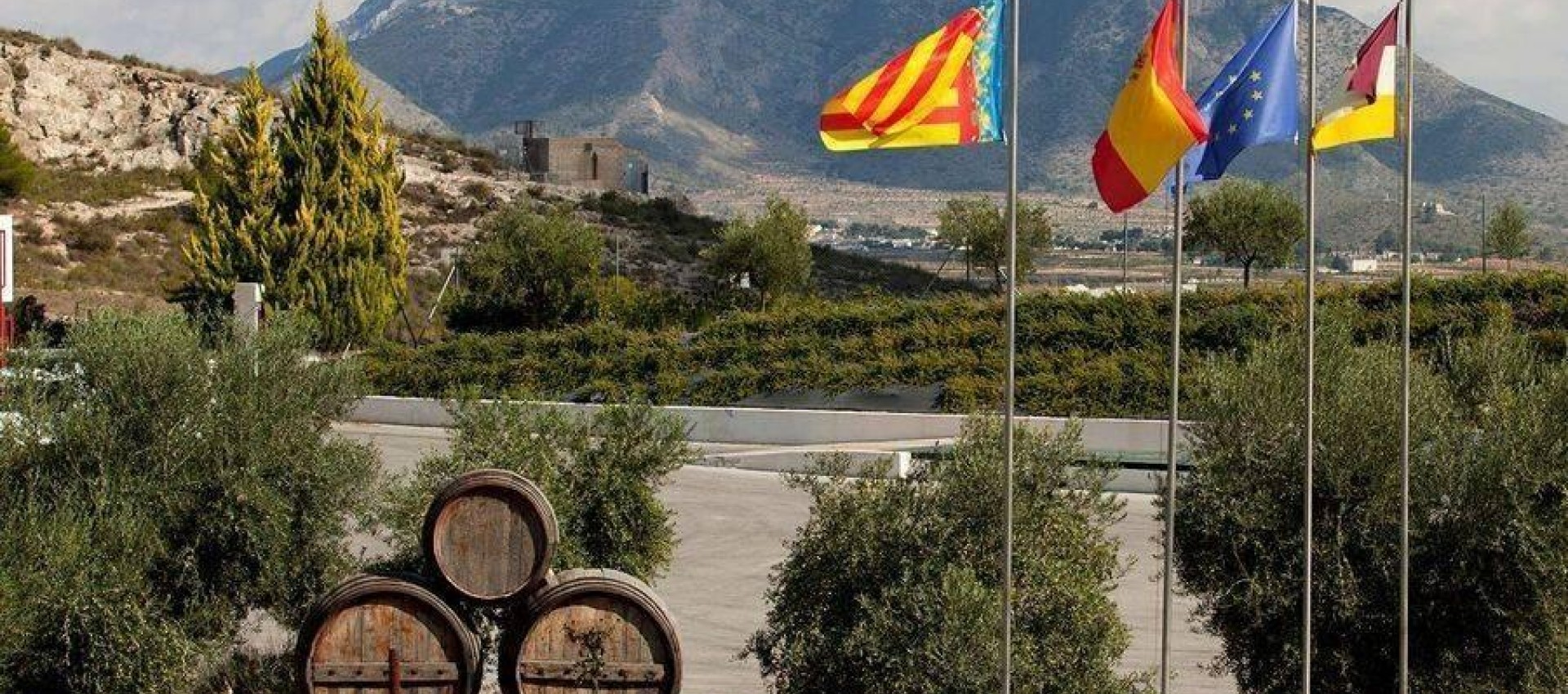 New Build - Villa - Pinoso - Lel