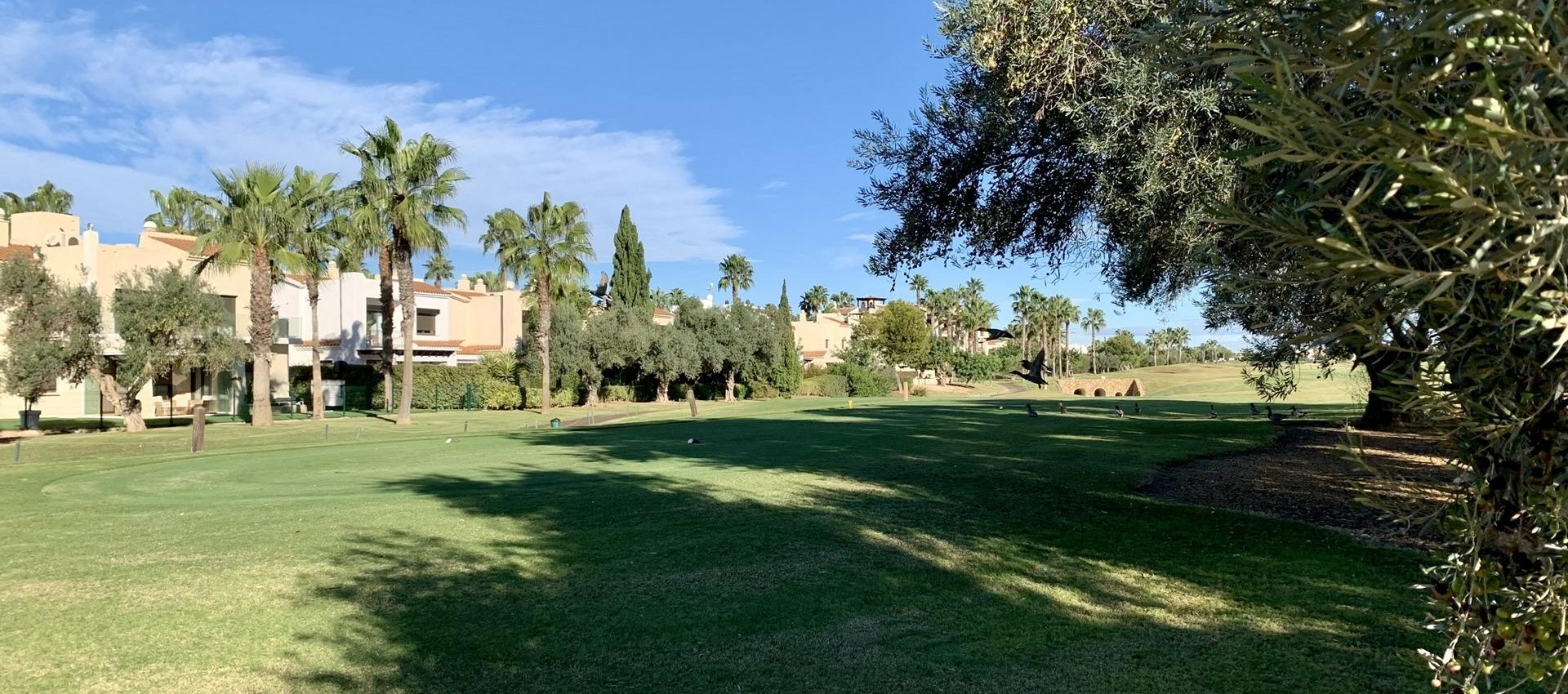 Nouvelle construction - Bungalow - San Javier - Roda Golf