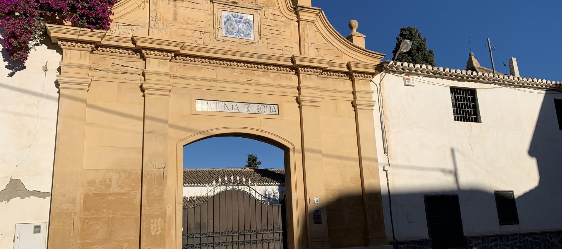 Nouvelle construction - Bungalow - San Javier - Roda Golf