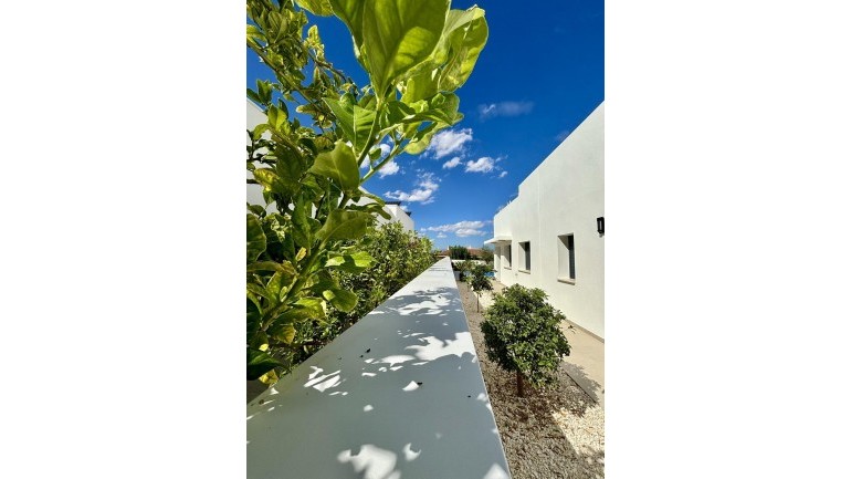 New Build - Villa - Benijofar - Pueblo