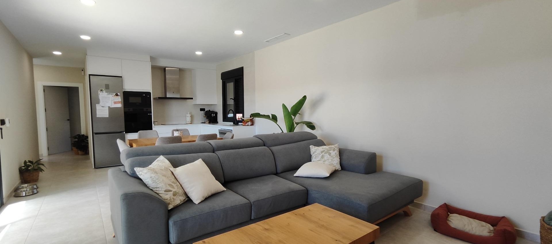 New Build - Villa - Pinoso - Lel