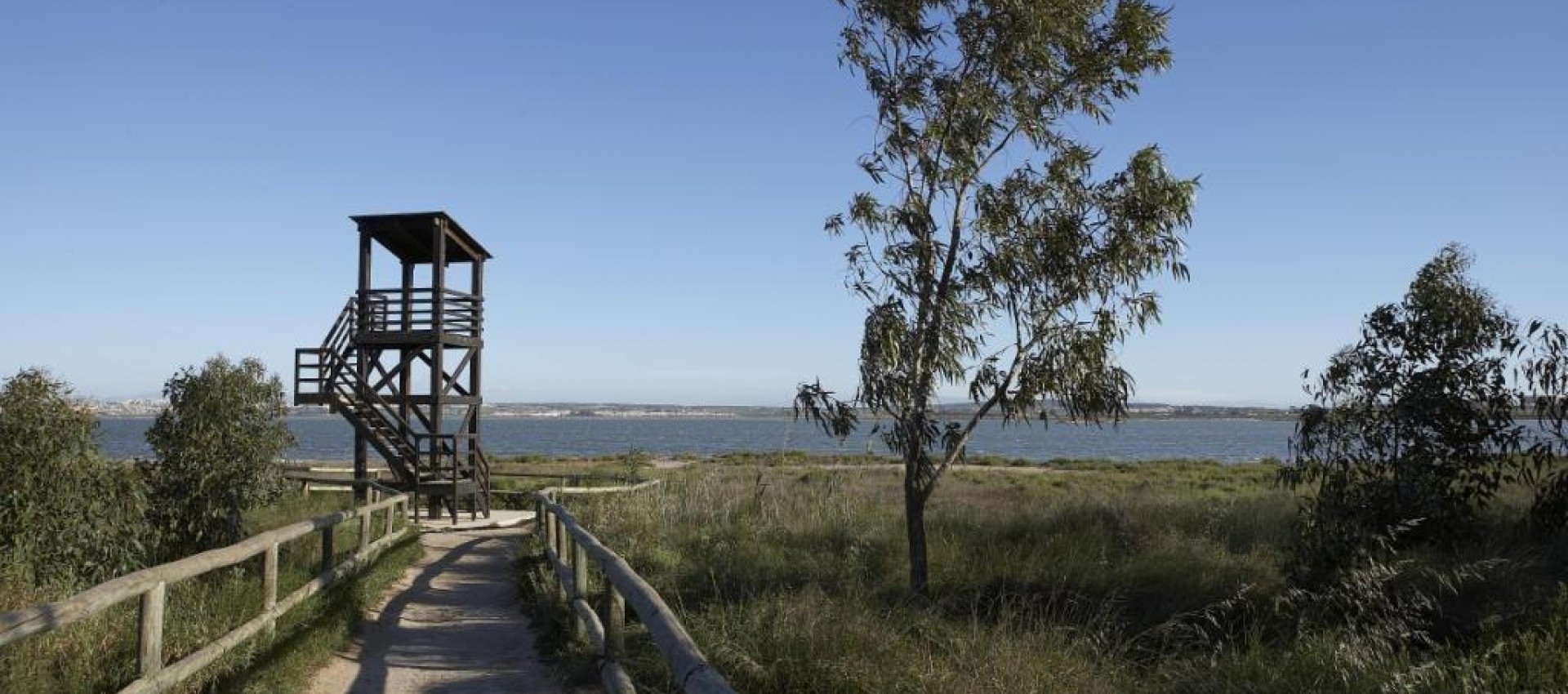 Nueva construcción  - Bungalow - Torrevieja - Altos del Sol