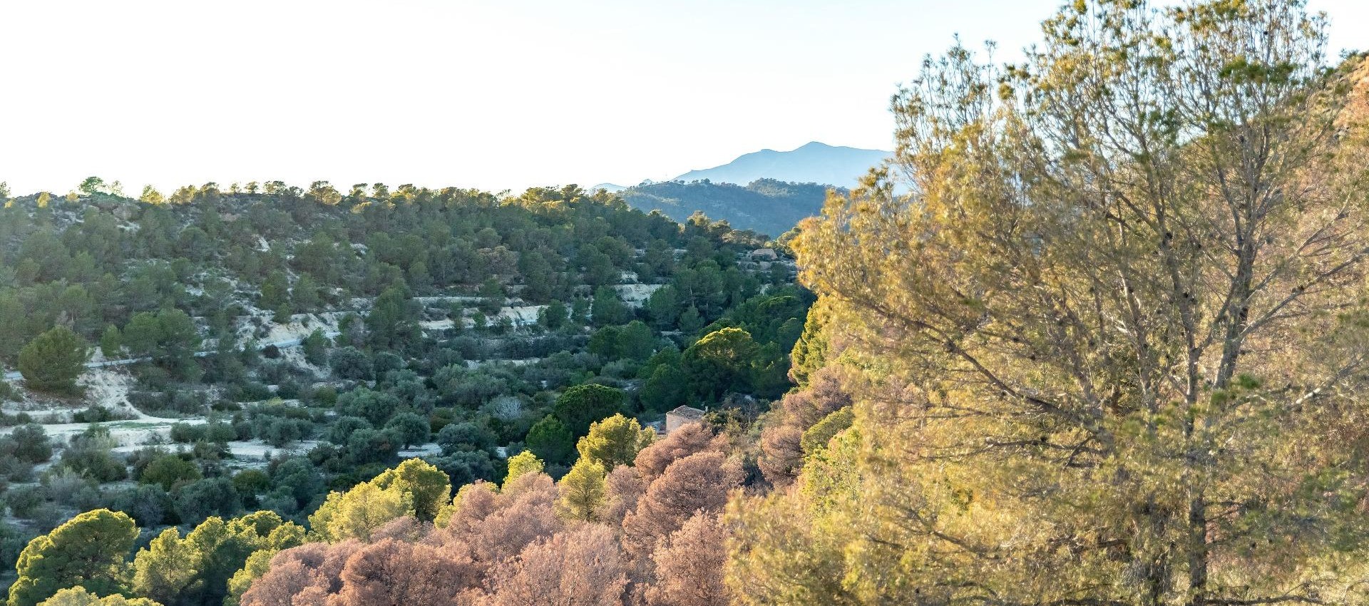 Nouvelle construction - Appartement - Finestrat - Balcón De Finestrat