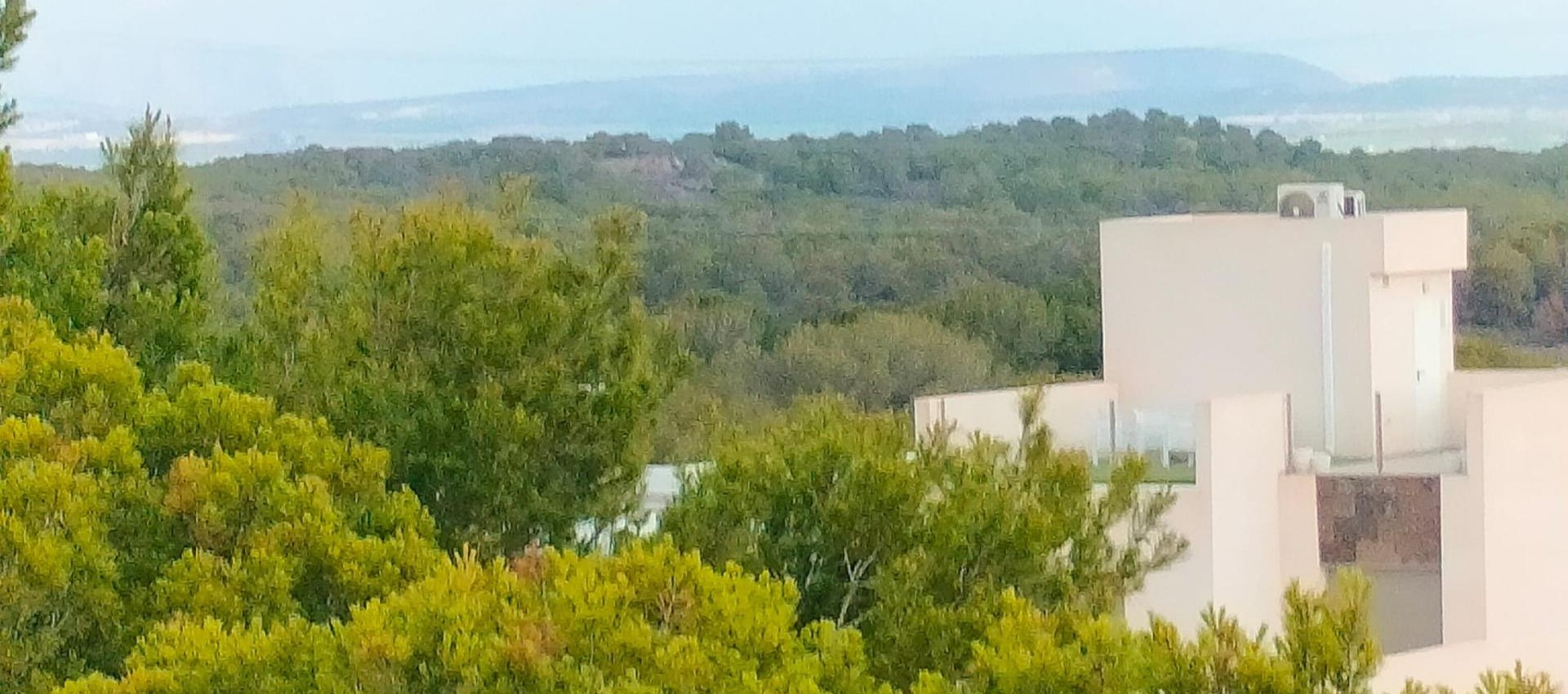 New Build - Villa - Orihuela Costa - Pau 26