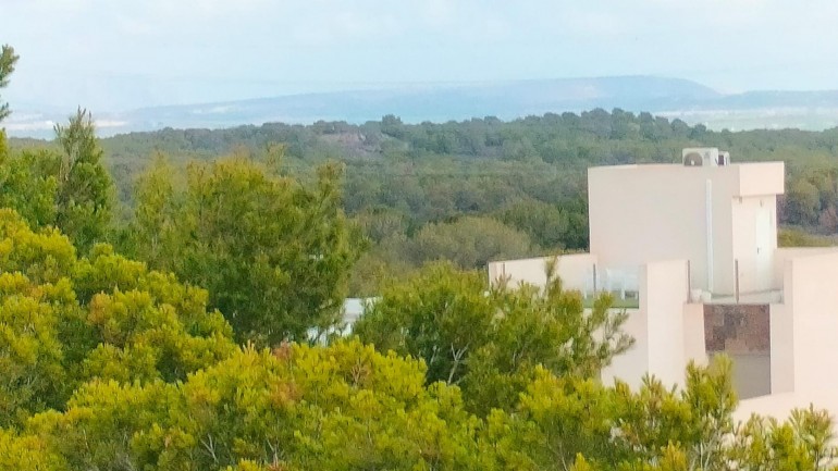 New Build - Villa - Orihuela Costa - Pau 26