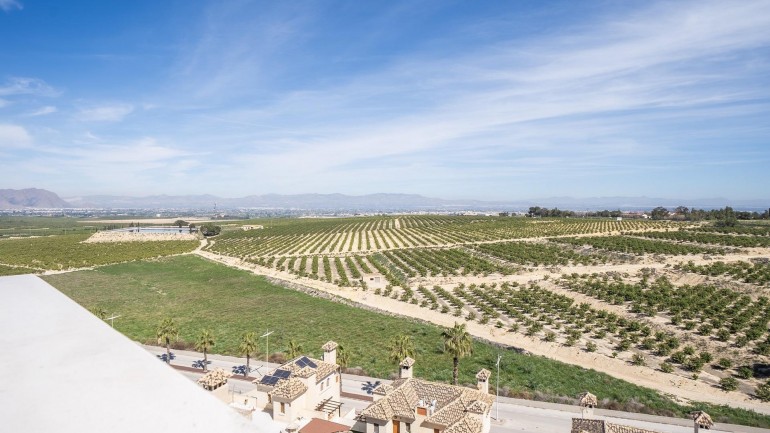 Nueva construcción  - Villa - Algorfa - La Finca Golf