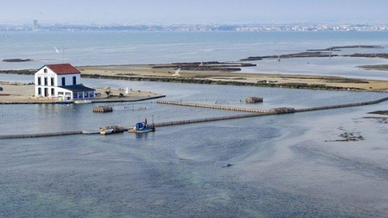 Nueva construcción  - Villa - San Pedro del Pinatar - Los Plazas