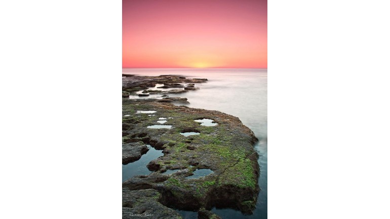 Nueva construcción  - Bungalow - Torrevieja - Altos del Sol