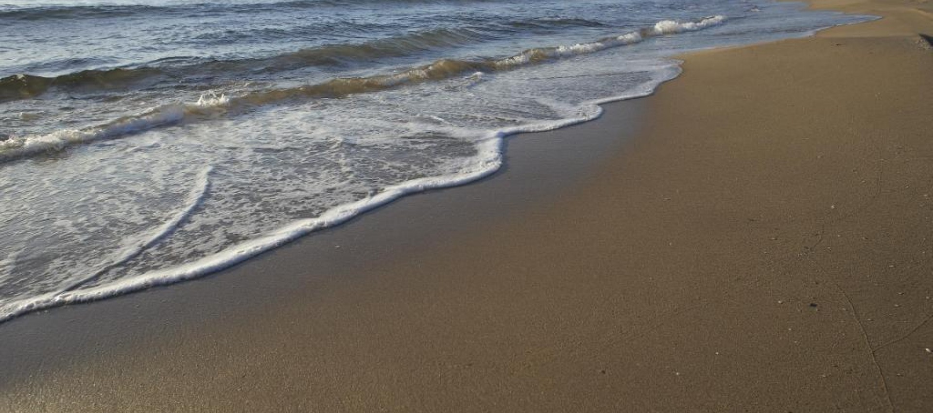 Nueva construcción  - Bungalow - Torrevieja - Altos del Sol