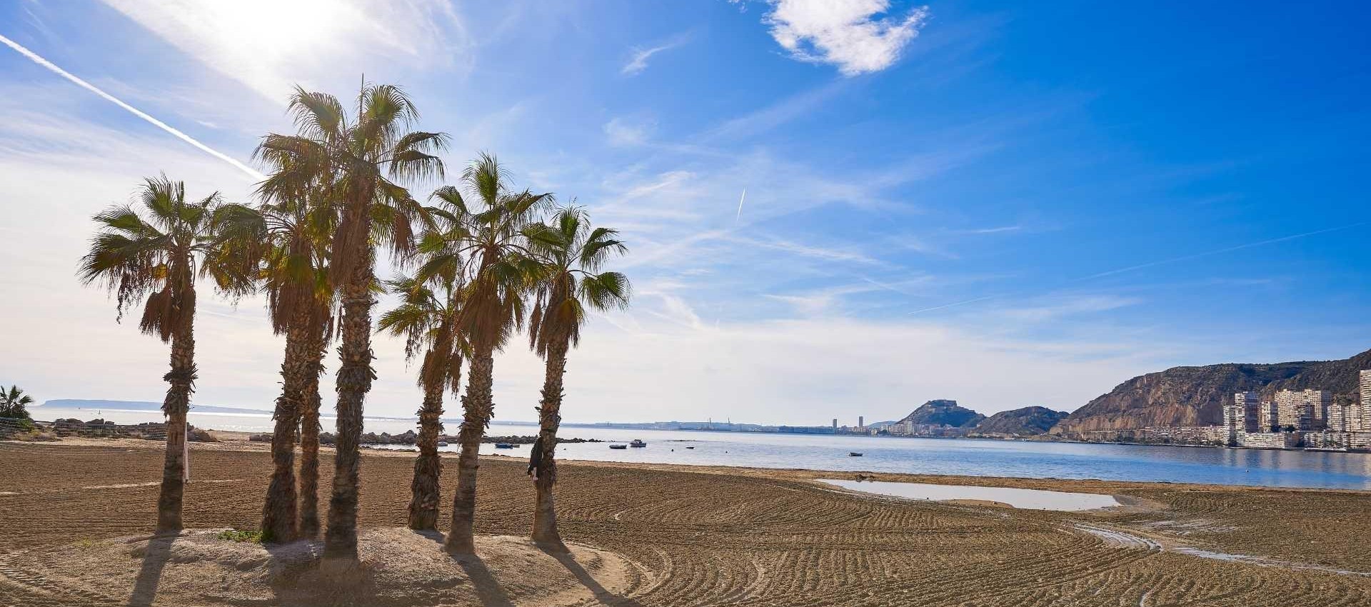 Nouvelle construction - Villa - Els Poblets - Partida Barranquets