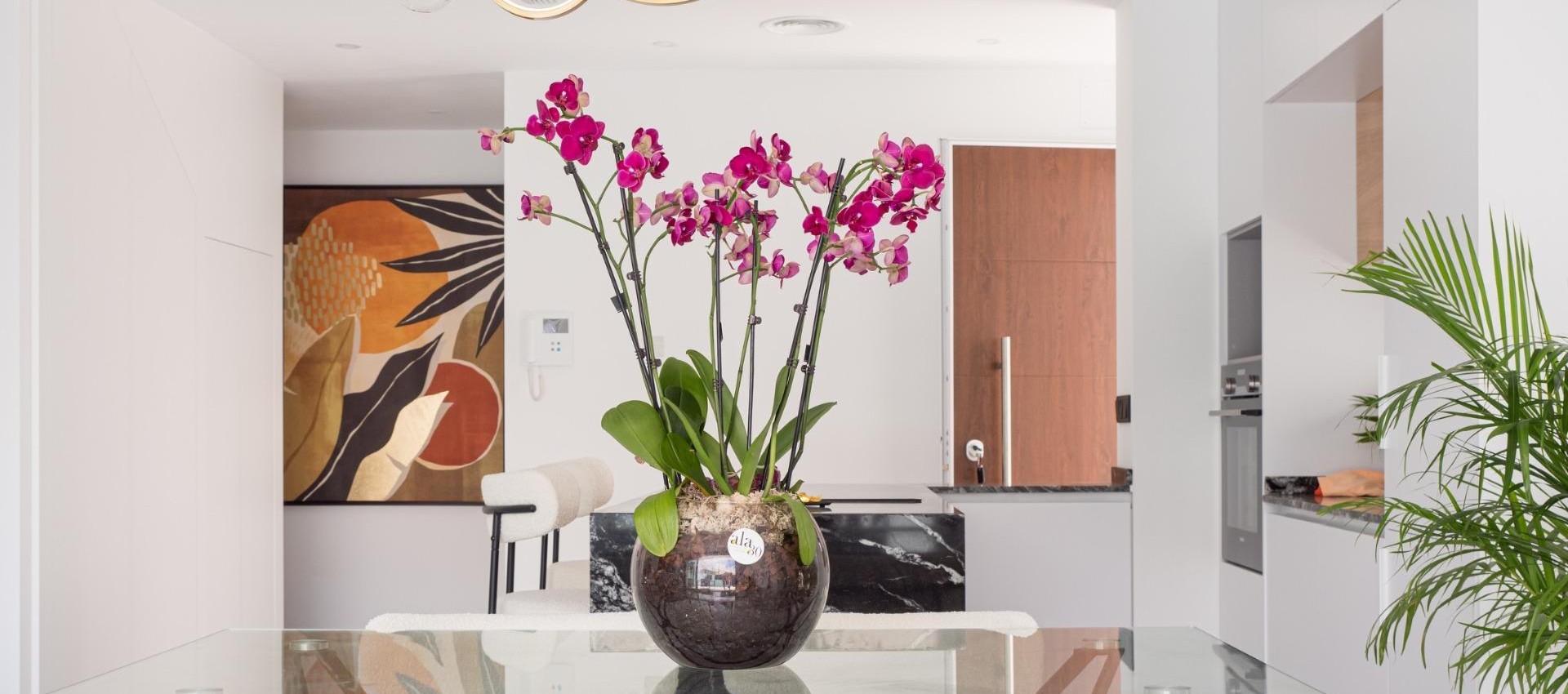 Nueva construcción  - Villa - San Pedro del Pinatar - San Pedro Del Pinatar