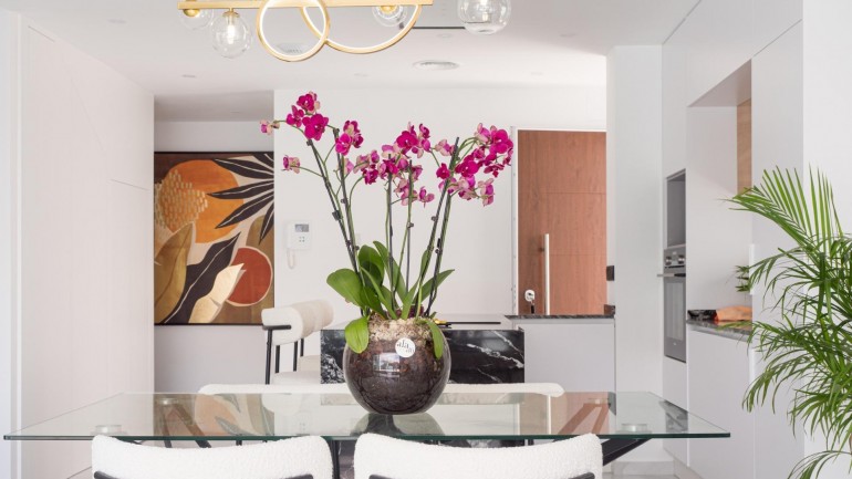 Nueva construcción  - Villa - San Pedro del Pinatar - San Pedro Del Pinatar