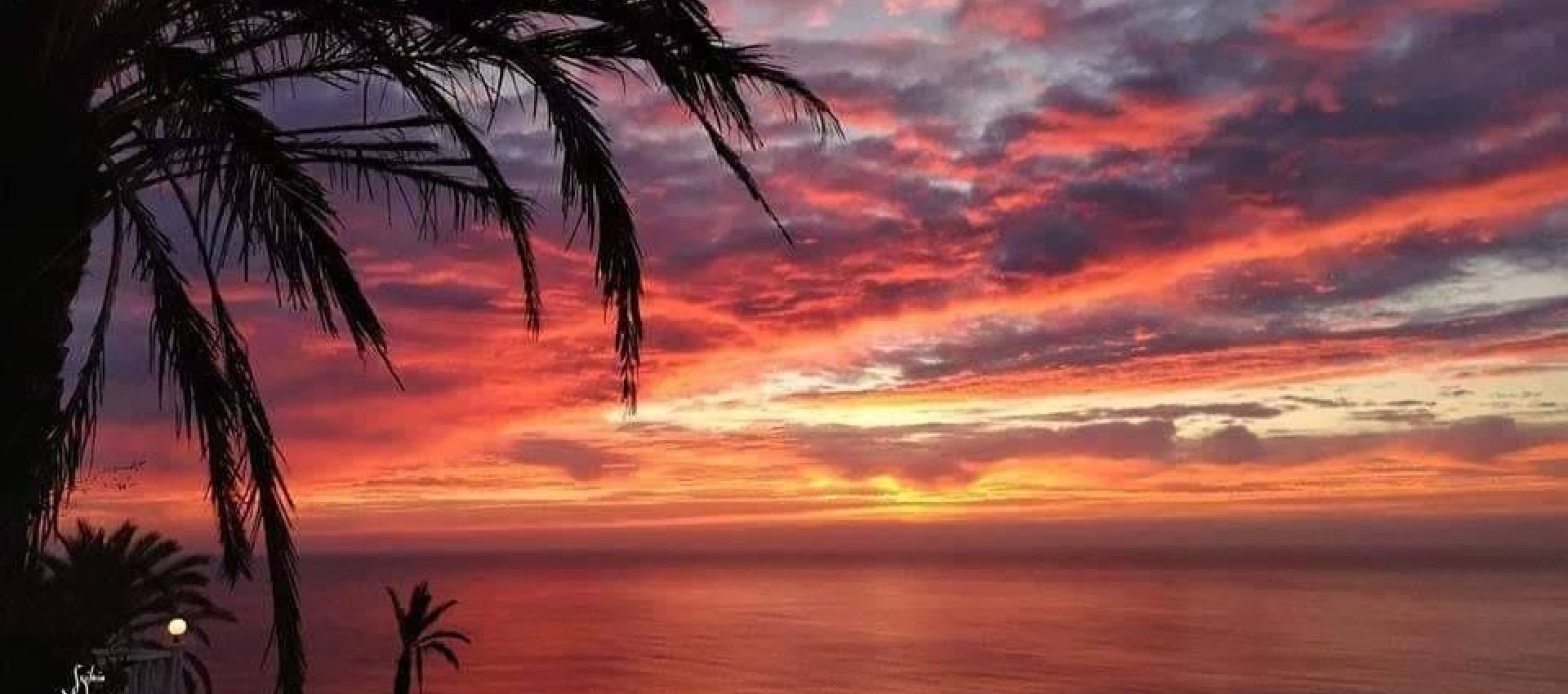 New Build - Bungalow - Torrevieja - Altos del Sol