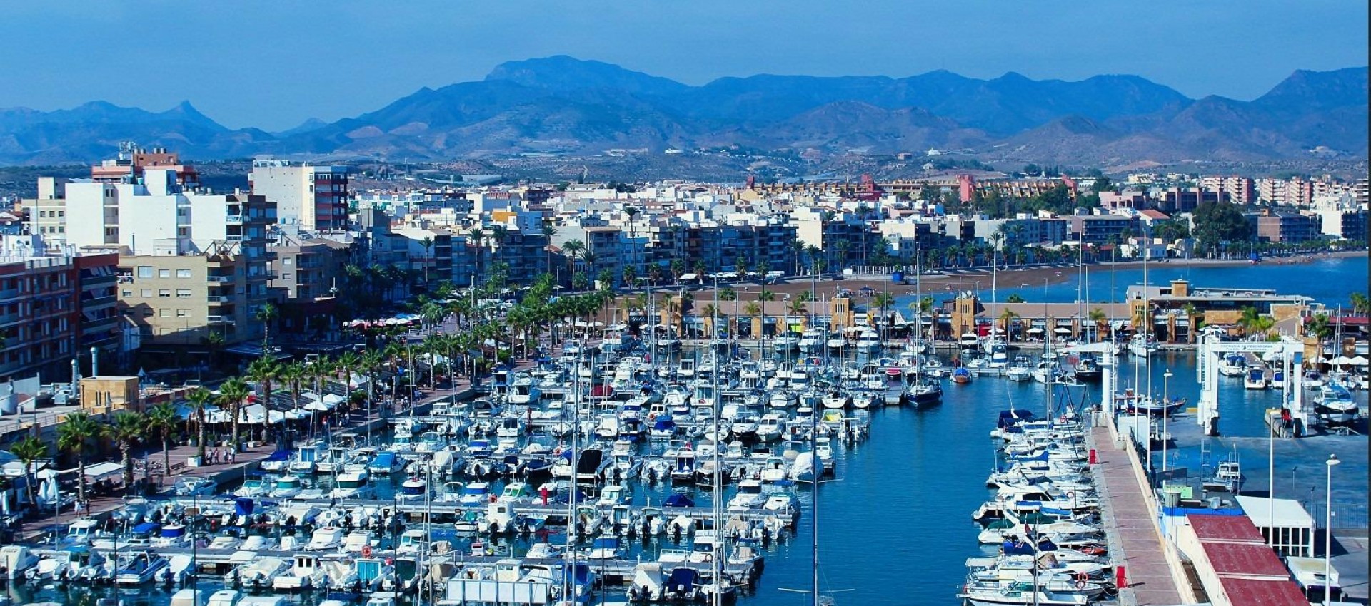 Nouvelle construction - Villa - Fuente Álamo - La Pinilla