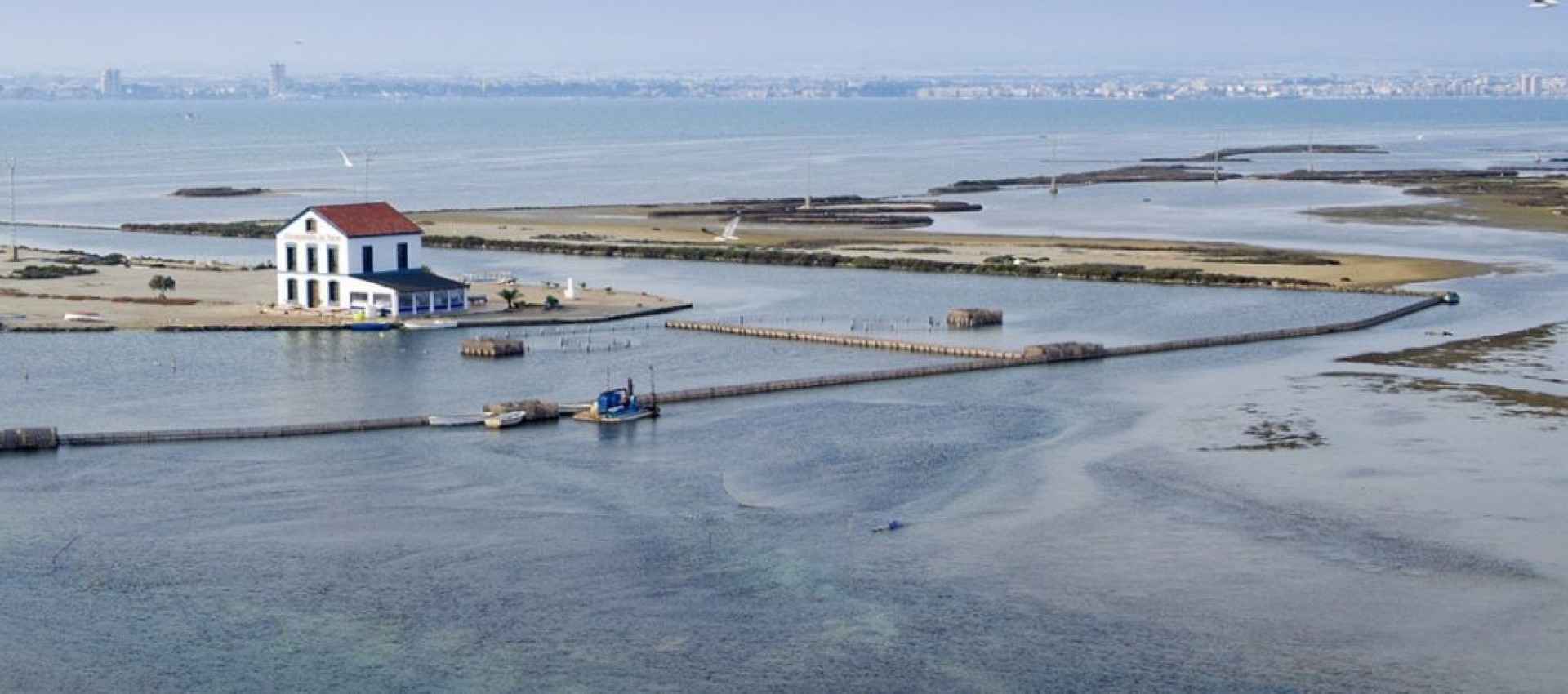 Nueva construcción  - Villa - San Pedro del Pinatar - El Salero