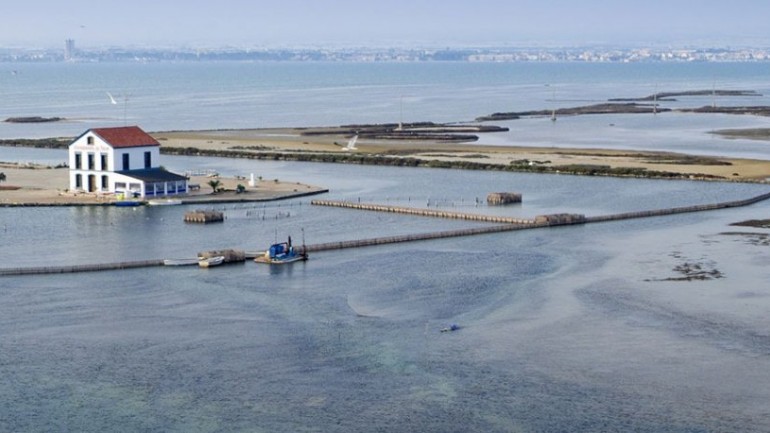 Nueva construcción  - Villa - San Pedro del Pinatar - El Salero