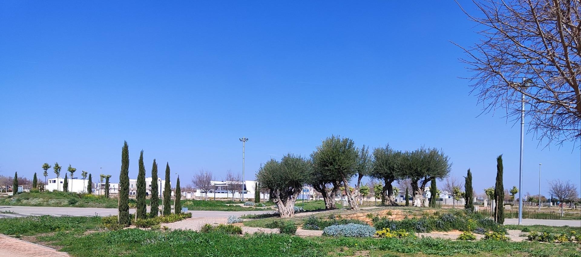 Nouvelle construction - Attique - Torre Pacheco - Centro