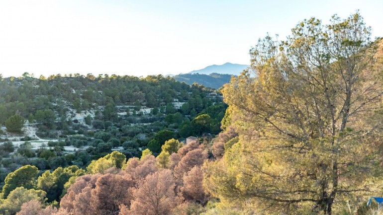 New Build - Apartment / flat - Finestrat - Balcón De Finestrat