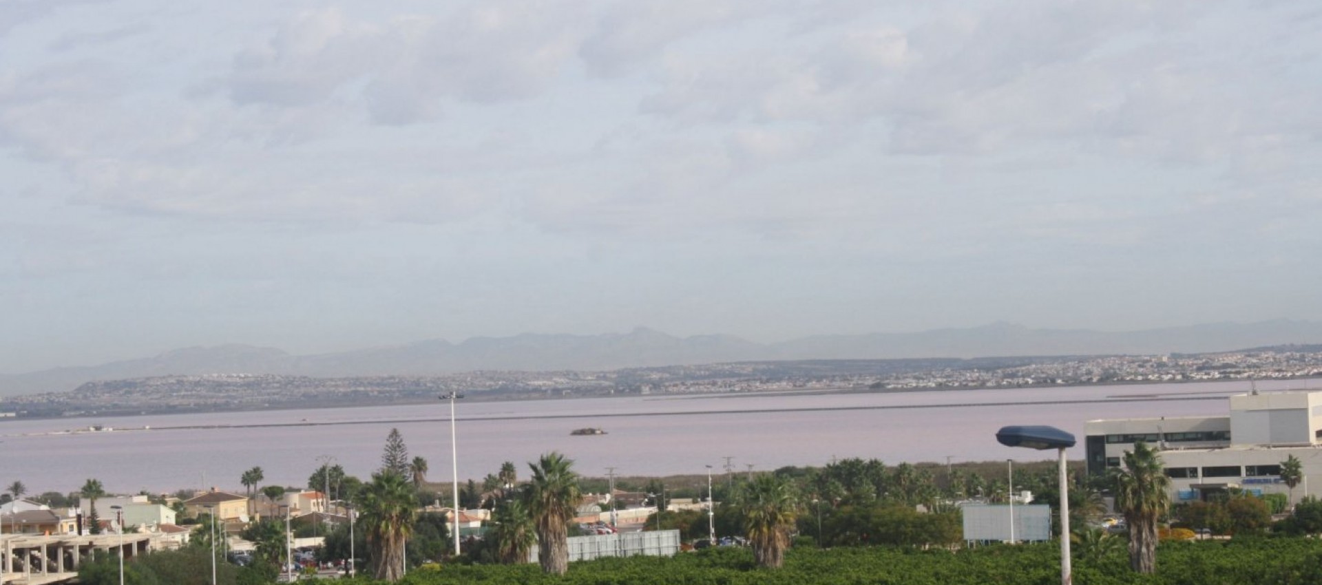 Nueva construcción  - Town House - Torrevieja - Los Altos