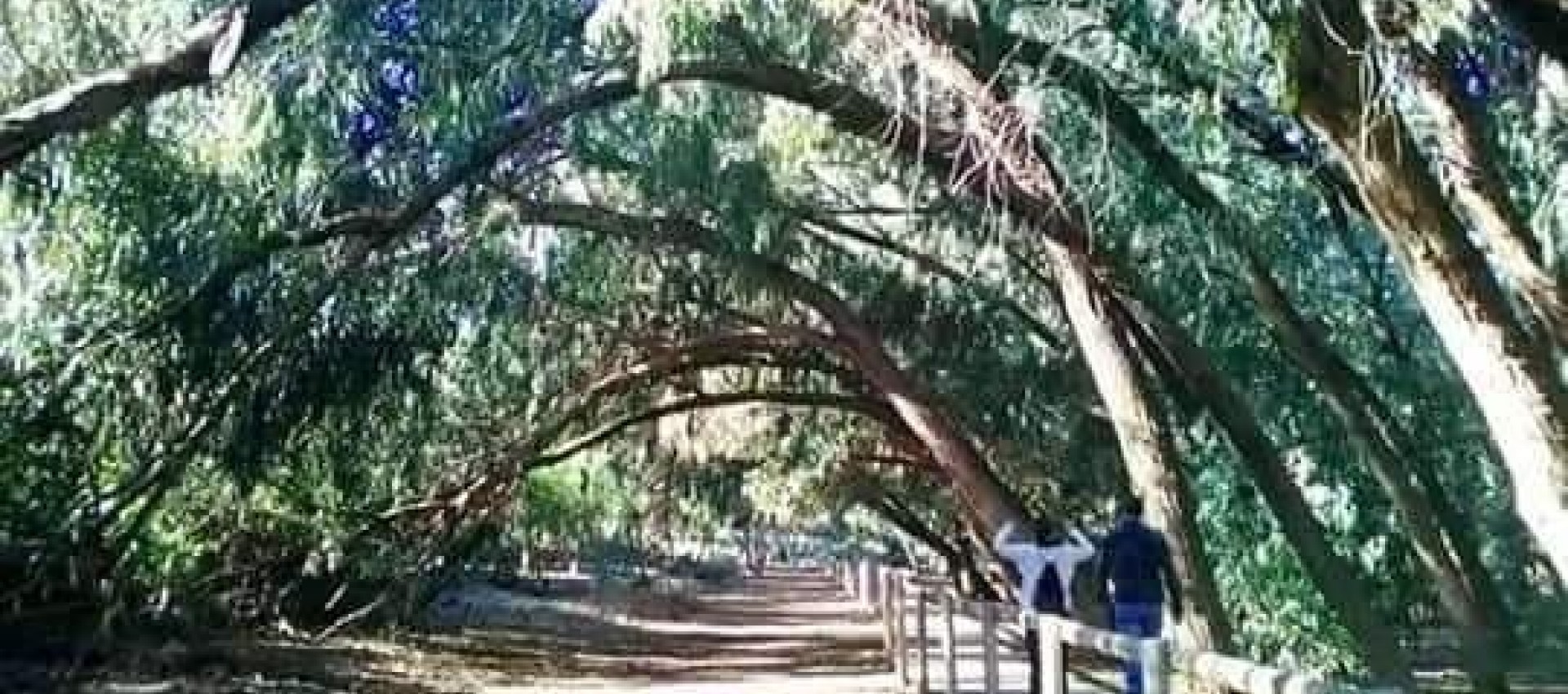 Nueva construcción  - Bungalow - Torrevieja - Altos del Sol