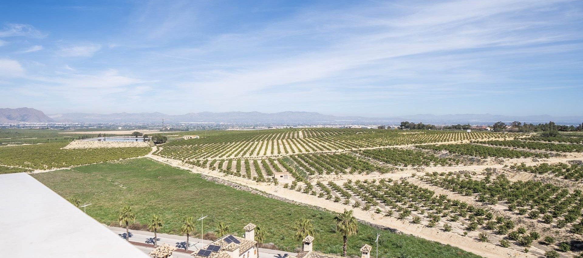 New Build - Villa - Algorfa - La Finca Golf