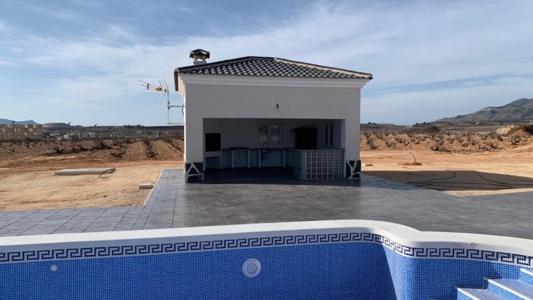 New Build - Villa - Pinoso - Camino Del Prado