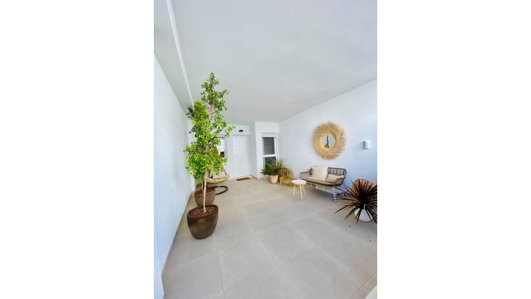 New Build - Bungalow - Pilar de la Horadada - pueblo