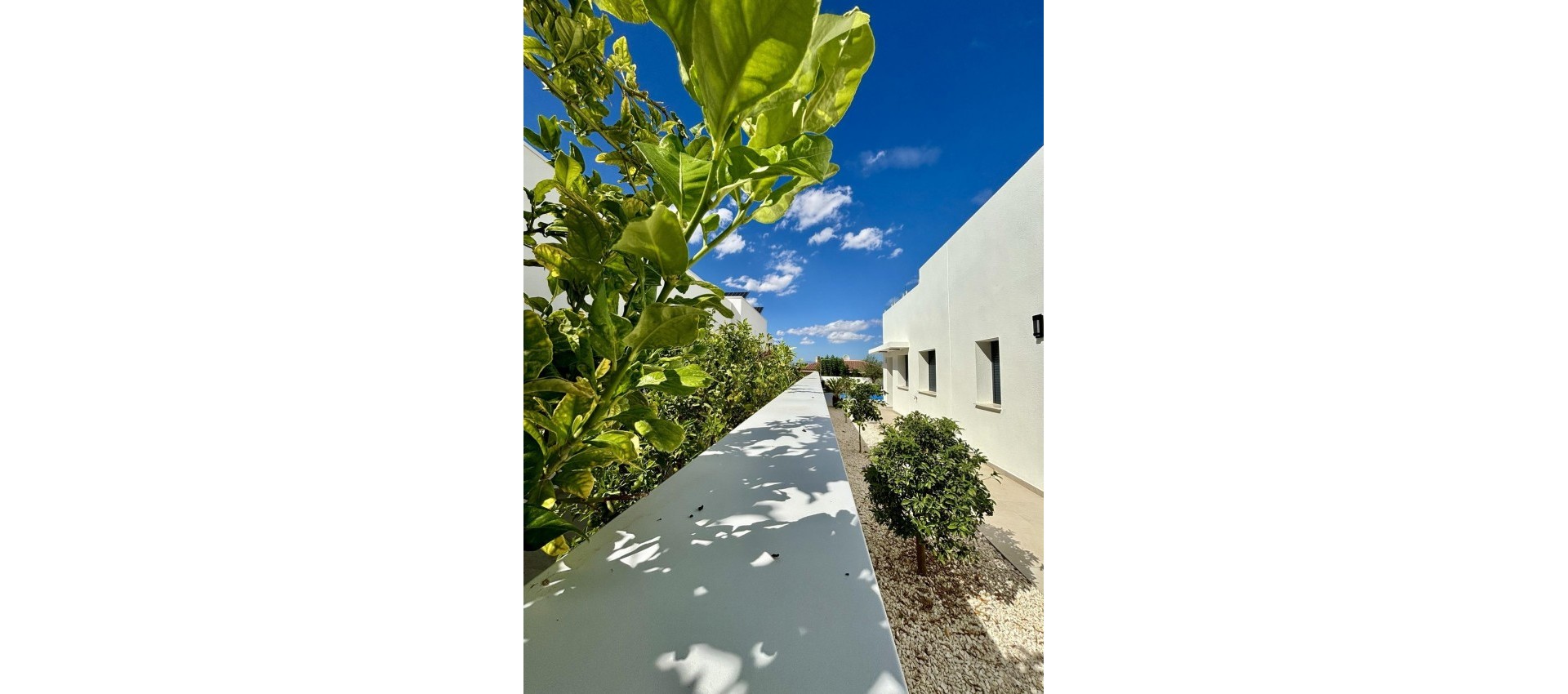 Nouvelle construction - Villa - Benijofar - Pueblo