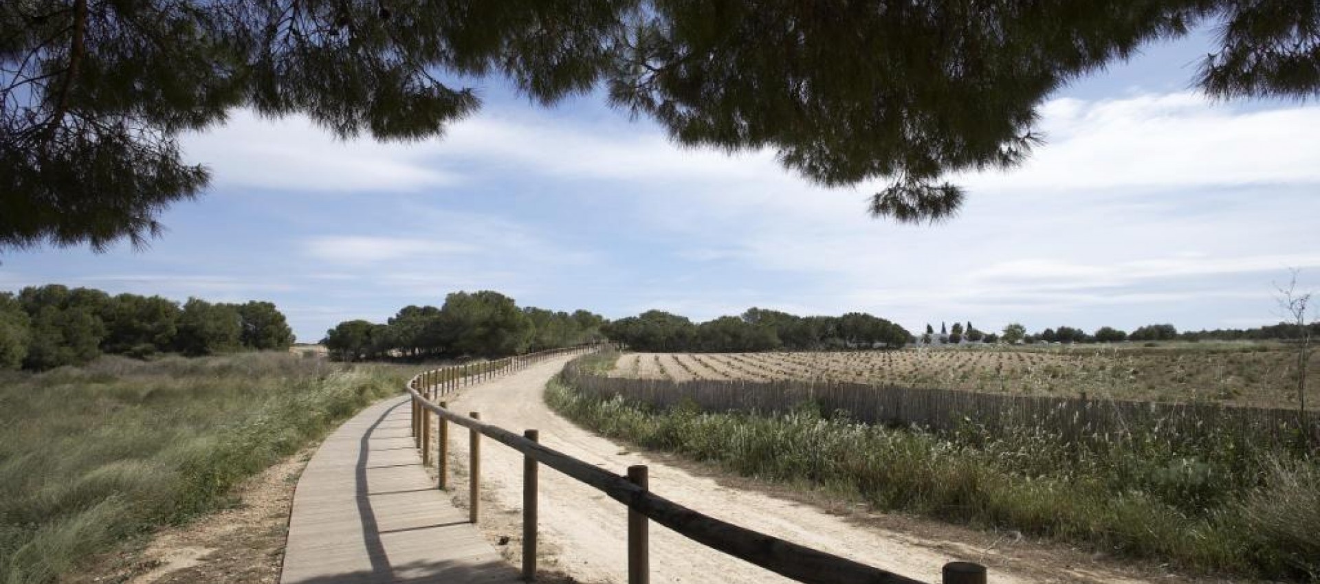 New Build - Villa - Torrevieja - Sector 25