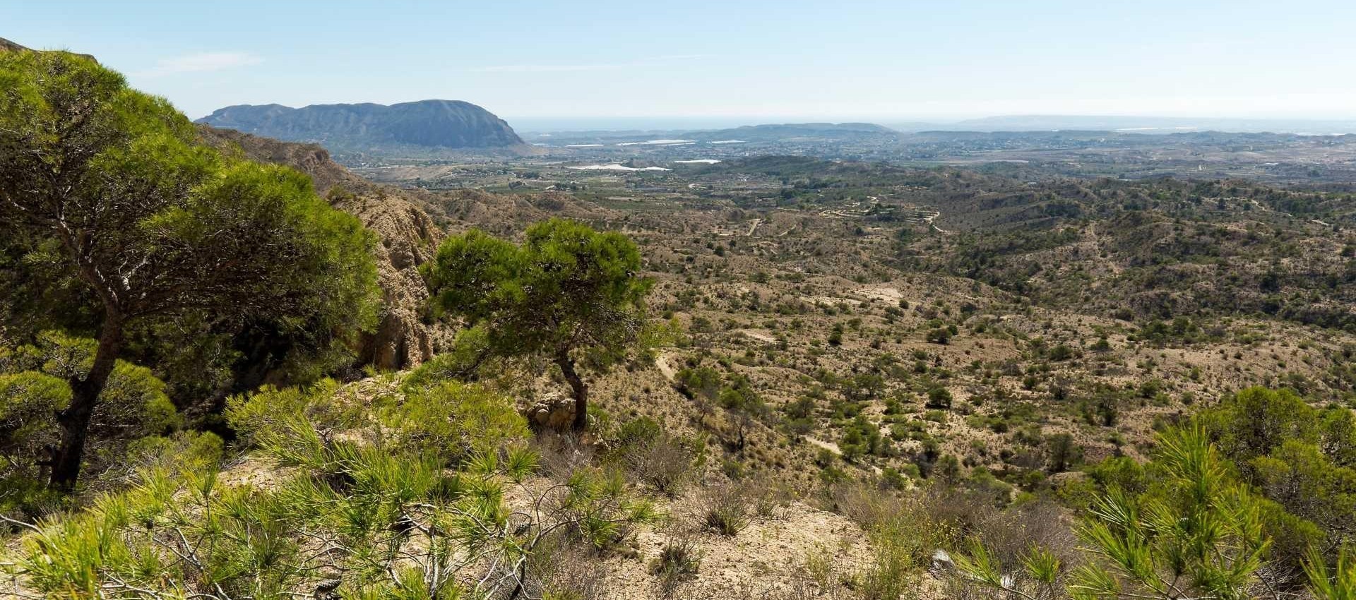 New Build - Villa - Aspe - Centro