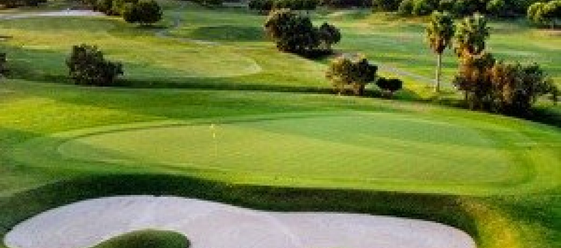 Nueva construcción  - Villa - Pilar de la Horadada - Lo Romero Golf