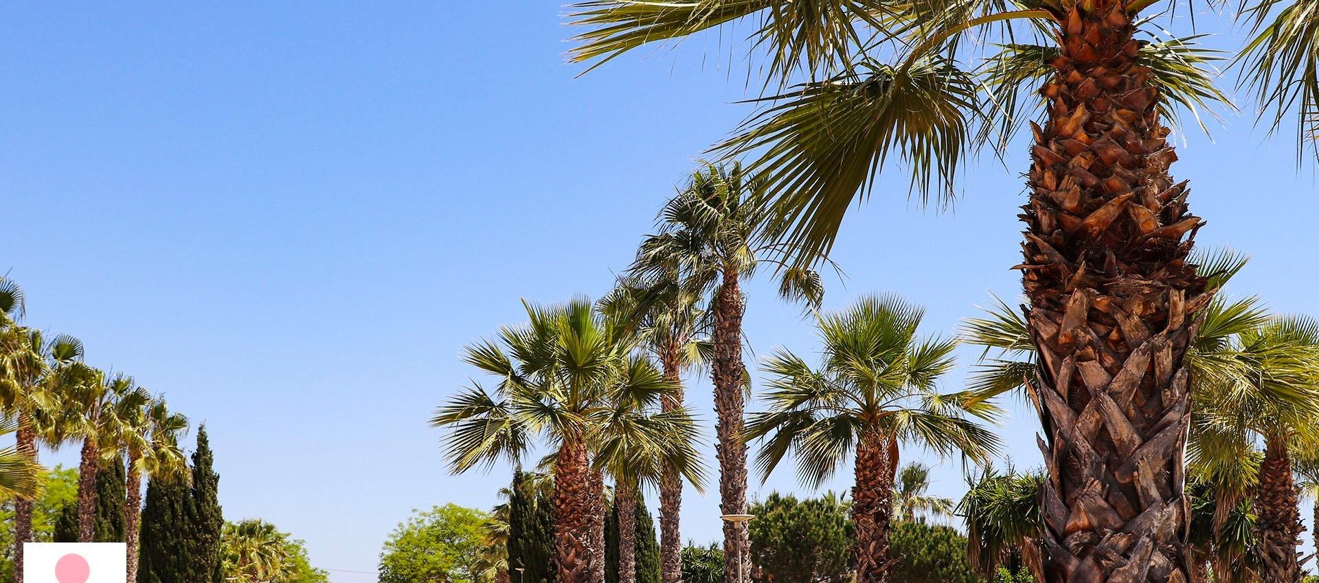 New Build - Villa - San Fulgencio - La Escuera