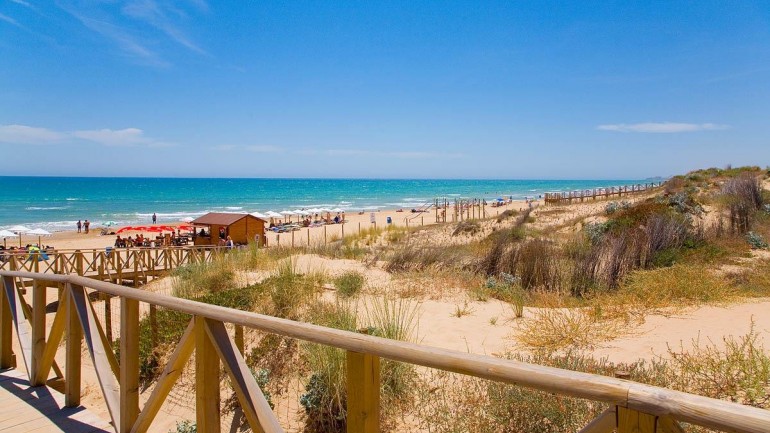 New Build - Apartment / flat - Guardamar del Segura - Pueblo