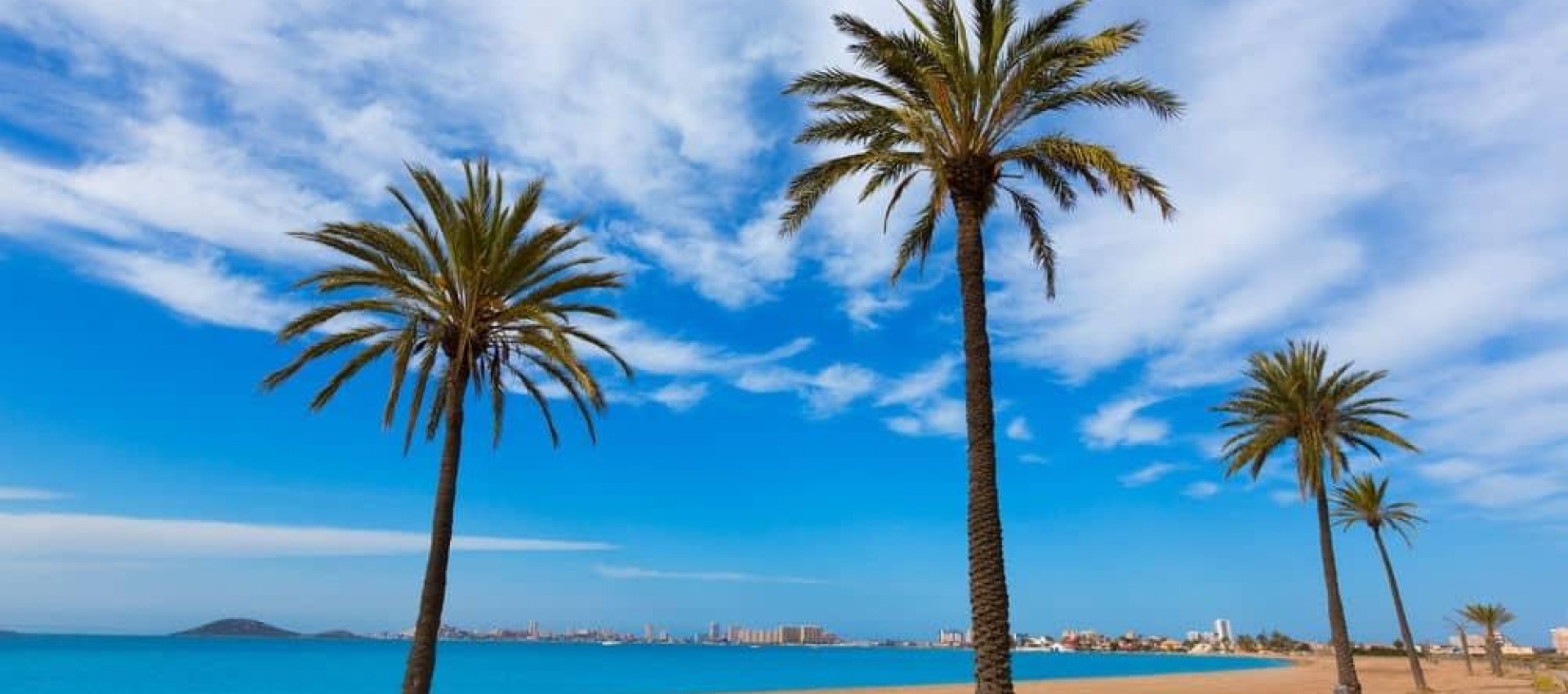 Nouvelle construction - Villa - Torre Pacheco - Roldán